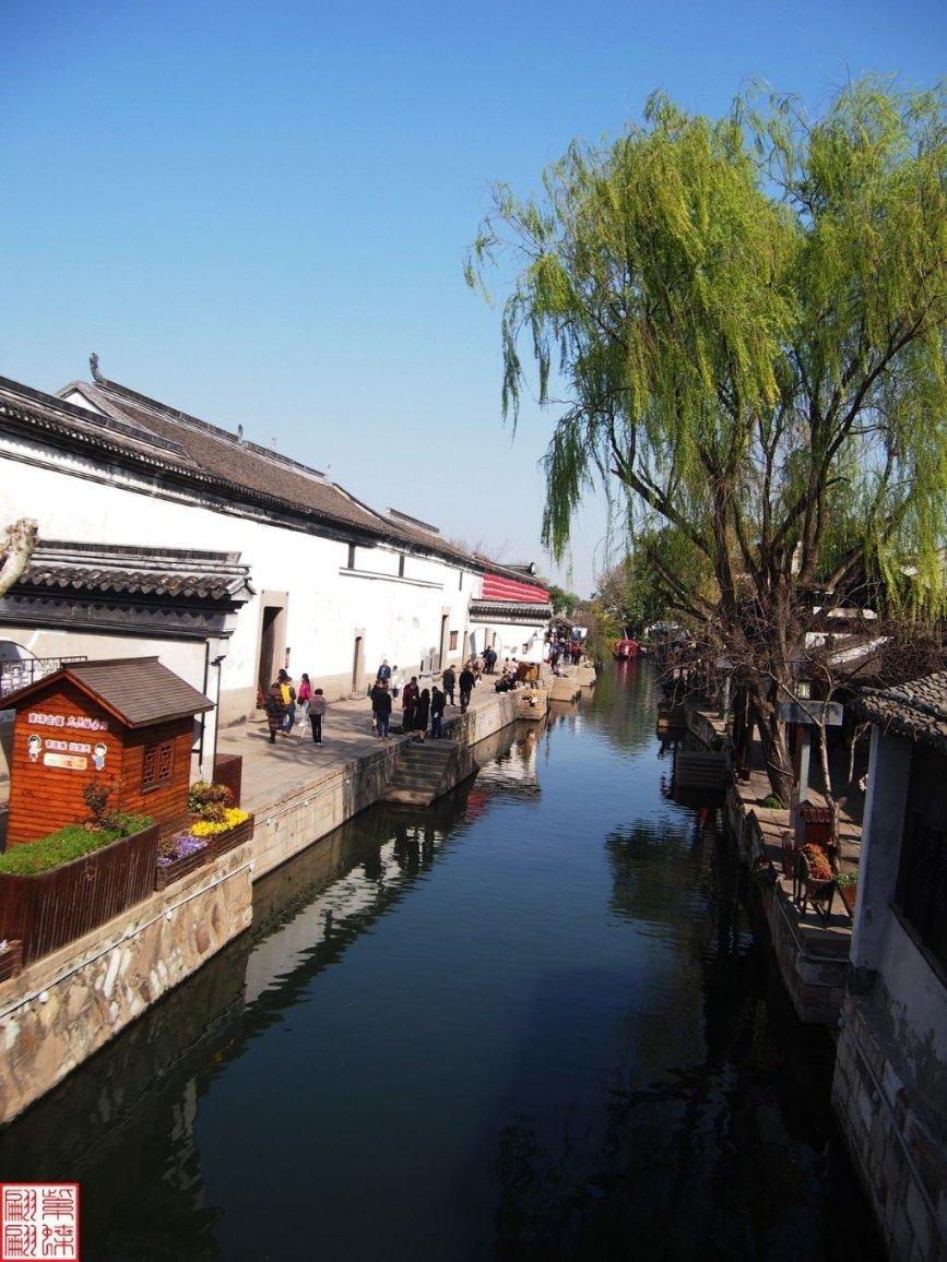 加入社保转移异地2019,体验知识星球的魅力
